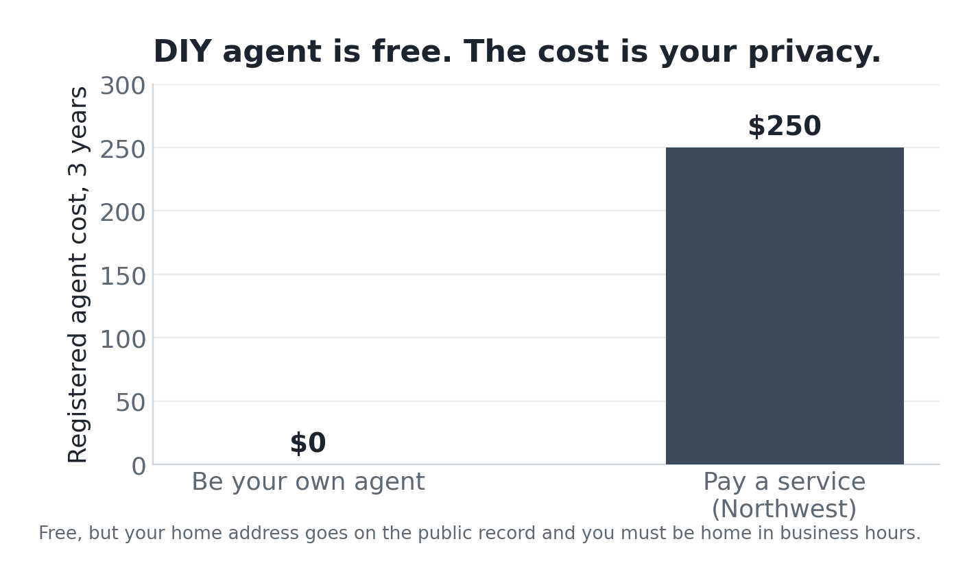 Bar chart comparing $0 DIY registered agent against $250 paid over three years.
